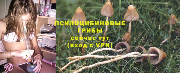 apvp Переславль-Залесский