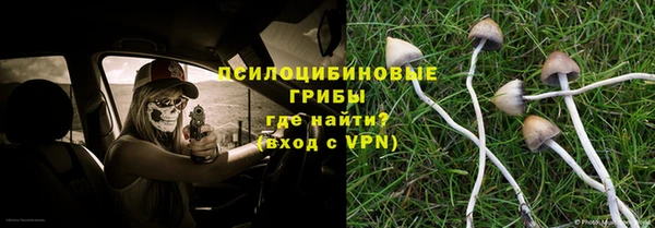apvp Переславль-Залесский