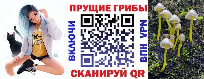 МЕГА ONION  даркнет сайт  Серафимович  Псилоцибиновые грибы Magic Shrooms 